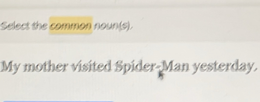 Select the common noun(s). 
My mother visited Spider-Man yesterday.