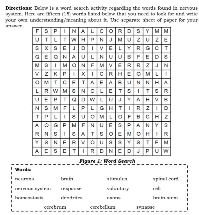 Directions: Below is a word search activity regarding the words found in nervous 
system. Here are fifteen (15) words listed below that you need to look for and write 
your own understanding/meaning about it. Use separate sheet of paper for your 
answer. 
Words: 
neurons brain stimulus spinal cord 
nervous system response voluntary cell 
homeostasis dendrites axons brain stem 
cerebrum cerebellum synapse