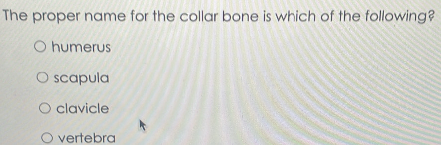 The proper name for the collar bone is which of the following?
humerus
scapula
clavicle
vertebra