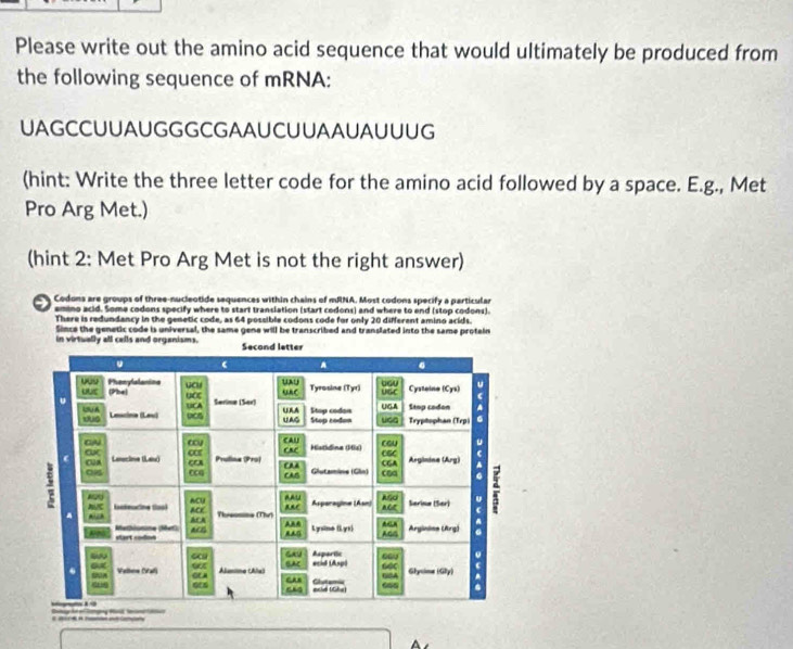 Solved: Please write out the amino acid sequence that would ultimately ...