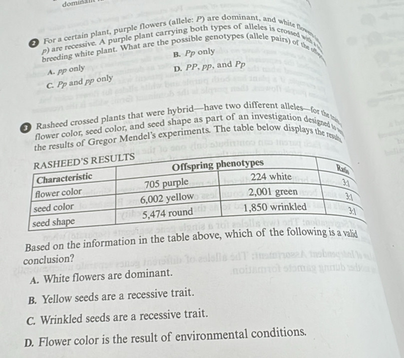 dominän
2 For a certain plant, purple flowers (allele: P) are dominant, and white flowe 
n) are recessive. A purple plant carrying both types of alleles is crossed with
B. Pp only
breeding white plant. What are the possible genotypes (allele pairs) of the ollw
A. pp only
D. PP, pp, and Pp
C. Pp and pp only
Rasheed crossed plants that were hybrid—have two different alleles—for the tran
flower color, seed color, and seed shape as part of an investigation designed to 
the results of Gregor Mendel’s experiments. The table below displays the resul
Based on the information in the table above, whicalid
conclusion?
A. White flowers are dominant.
B. Yellow seeds are a recessive trait.
C. Wrinkled seeds are a recessive trait.
D. Flower color is the result of environmental conditions.