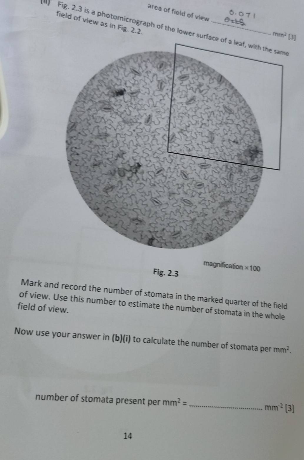 area of field of view mm^2 [3] 
field of view as in Fig. 2.2. 
) Fig. 2.3 is a photomicrograph of the lower surface of a leaf, with the same 
magnification * 100
Fig. 2.3 
Mark and record the number of stomata in the marked quarter of the field 
of view. Use this number to estimate the number of stomata in the whole 
field of view. 
Now use your answer in (b)(i) to calculate the number of stomata per mm^2. 
number of stomata present per mm^2= _  mm^(-2) [3] 
14