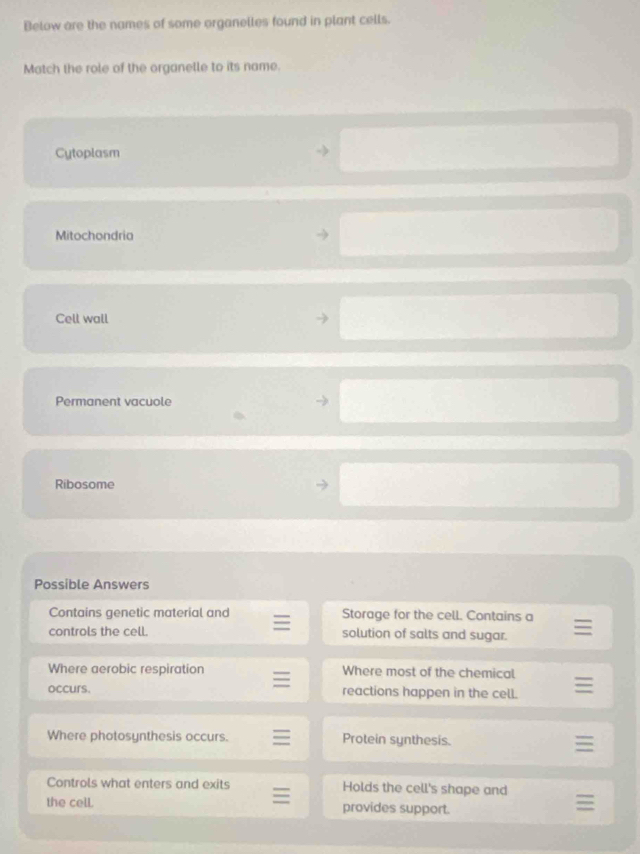 Below are the names of some organelles found in plant cells.
Match the role of the organelle to its name.
Cytoplasm
Mitochondria
Cell wall
Permanent vacuole
Ribosome
Possible Answers
Contains genetic material and Storage for the cell. Contains a
controls the cell. solution of salts and sugar.
Where aerobic respiration Where most of the chemical
occurs. reactions happen in the cell.
Where photosynthesis occurs. Protein synthesis.
Controls what enters and exits Holds the cell's shape and
the cell. provides support.