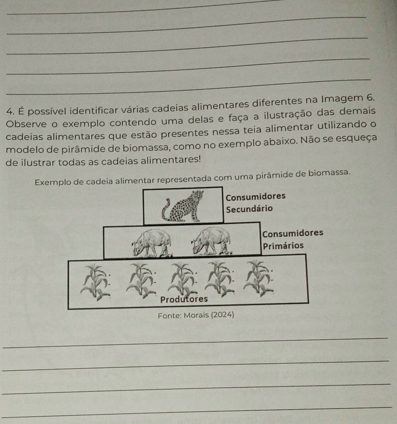 É possível identificar várias cadeias alimentares diferentes na Imagem 6. 
Observe o exemplo contendo uma delas e faça a ilustração das demais 
cadeias alimentares que estão presentes nessa teia alimentar utilizando o 
modelo de pirâmide de biomassa, como no exemplo abaixo. Não se esqueça 
de ilustrar todas as cadeias alimentares! 
Exemplo de cadeia alimentar representada com uma pirâmide de biomassa. 
_ 
_ 
_ 
_