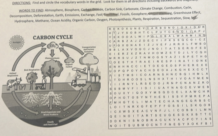 DIRECTIONS: Find and circle the vocabulary words in the grid. Look for them in all directions including backwards and diage 
WORDS TO FIND: Atmosphere, Biosphere, Carbon Bioxide, Carbon Sink, Carbonate, Climate Change, Combustion, Cycle, 
Decomposition, Deforestation, Earth, Emissions, Exchange, Fast, Posll nel, Fossils, Geosphere, Global Warming, Greenhouse Effect, 
Hydrosphere, Methane, Ocean Acidity, Organic Carbon, Oxygen, Photosynthesis, Plants, Respiration, Sequestration, Slow, Soll