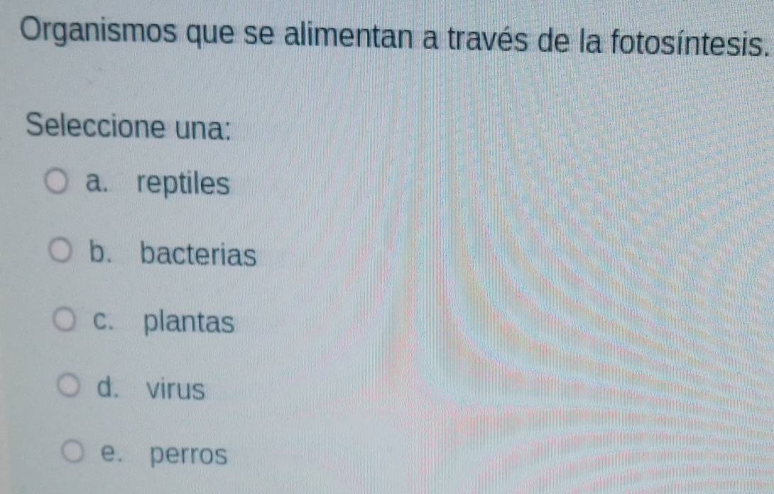 Organismos que se alimentan a través de la fotosíntesis.
Seleccione una:
a. reptiles
b. bacterias
c. plantas
d. virus
e. perros