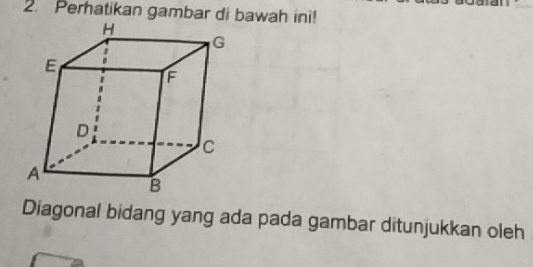 Perhatikan gambar di bawah ini! 
Diagonal bidang yang ada pada gambar ditunjukkan oleh