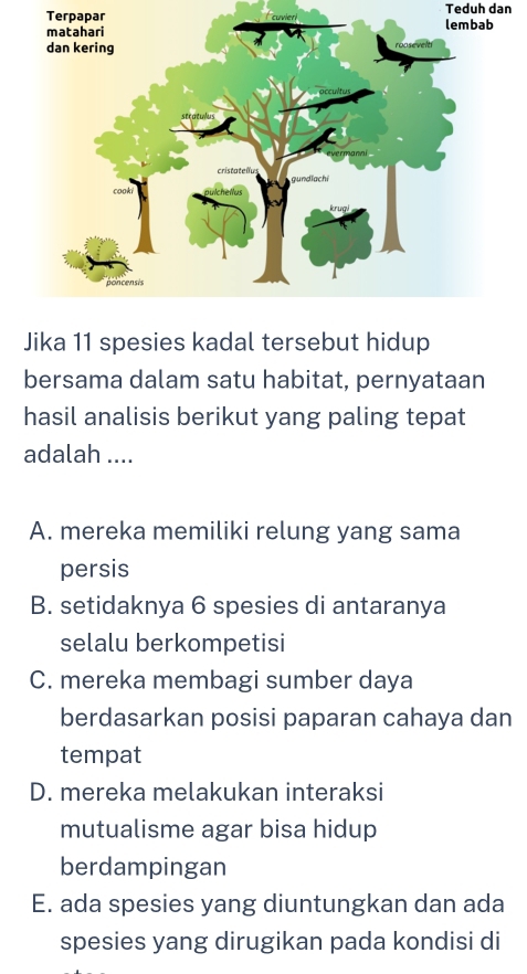 Terpapar cuvier Teduh dan
Jika 11 spesies kadal tersebut hidup
bersama dalam satu habitat, pernyataan
hasil analisis berikut yang paling tepat
adalah ....
A. mereka memiliki relung yang sama
persis
B. setidaknya 6 spesies di antaranya
selalu berkompetisi
C. mereka membagi sumber daya
berdasarkan posisi paparan cahaya dan
tempat
D. mereka melakukan interaksi
mutualisme agar bisa hidup
berdampingan
E. ada spesies yang diuntungkan dan ada
spesies yang dirugikan pada kondisi di