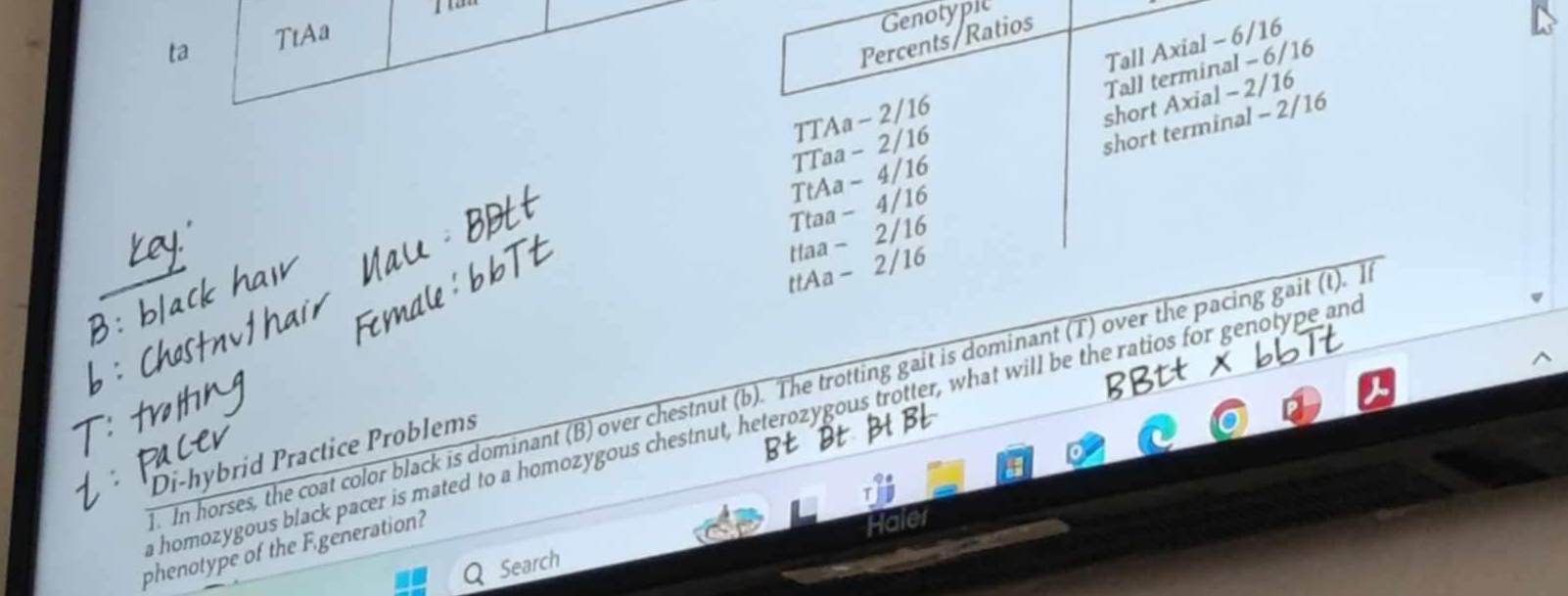 Percents/Ratios
ta TtAa
Genotypic
TTAa - 2/16 Tall Axial - 6/16
short Axial - 2/16
TTaa - 2/16 Tall terminal - 6/16
short terminal - 2/16
TtAa - 4/16
Ttaa - 4/16
ttaa - 2/16
ttAa - 2/16. In horses, the coat color black is dominant (B) over chestnut (b). The trotting gait is dominant (T) over the pacing gait (t). I
a homozygous black pacer is mated to a homozygous chestnut, heterozygous trotter, what will be the ratios for genotype and
Di-hybrid Practice Problems
phenotype of the Fgeneration?
Haler
Search