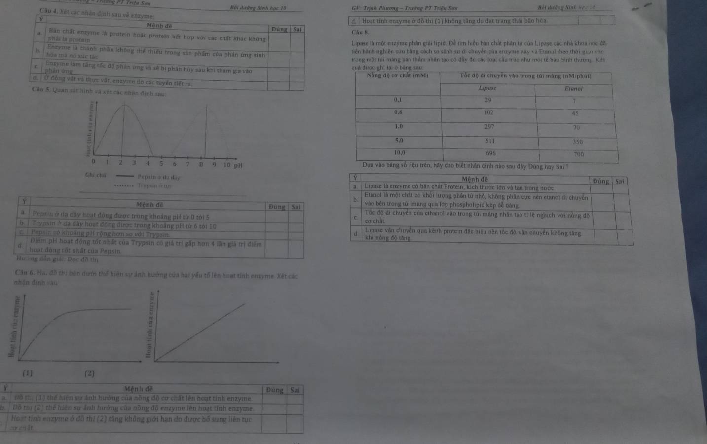 Trương 1ºT Triệu Sơn Bởi dường Sinh học 10  GV:  Trịnh Phương - Trường PT Triệu Sơn Bối đưỡng Sinh học 10
Câu 4, Xét các nhân định sau về enzyme
d. | Hoạt tính enzyme ở đồ thị (1) không tăng do đạt trang thái bão hòa
Y Mênh đé Đúng | Sai Câu 8.
a Bản chất enzyme là protein hoặc protein kết hợp với các chất khác không
phâi là protei Lipase là một enzyme phân giải lipid. Để tìm hiểu bàn chất phân từ của Lipase các nhà khoa nọc đã
Ehzyme là chánh phần không thể thiếu trong sản phẩm của phần ứng sinh tiên hành nghiên cứu bằng cách so sánh sự di chuyễn của enzyme này và Etanol theo thời gian vào
h. hóa mà nó xúc tác
trong một túi màng bán thằm nhân tạo có đầy đu các loại cầu trúc như một tế báo bình thường. Kết
Enzyme làm tầng tốc độ phản ứng và sẽ bị phần hủy sau khi tham gia vào
C. phàn ứng
d.  Ở động vật và thực vật. enzyme do các tuyển tiết ra
Câu 5. Quan sát hình và xét các nhâ 
 
Y  Mênh đề
Đùng  Sai
a Lipase là enzyme có bán chất Protei, kích thước lớn và tan trong nước
Etanol là một chất có khỏi lượng phần tử nhỏ, không phần cực nên etanol di chuyên
b.
Y vào bên trong túi màng qua lớp phospholipid kếp đễ dàng
Đúng  Sai
Mệnh đề  Tốc đô di chuyển của ethanol vào trong túi màng nhân tạo tí lệ nghịch với nồng độ
a  Pepxin ở đạ dây hoạt động được trong khoảng pH từ 0 tới 5 cơ chất
C.
Trypsin ở đạ dây hoạt đồng dược trong khoảng pH từ 6 tới 10 Lipase văn chuyên qua kênh protein đặc hiệu nền tốc độ văn chuyển không tăng
d
c  Pepsin số khoảng pH rộng hơn so với Trypsin khi nòng đō tāng
Điểm pH hoạt động tốt nhất của Trypsin có giả trị gấp hơn 4 lần giá trị điểm
hoạt động tốt nhất của Pepsin.
Hương dân giải: Đọc đồ thị
Cầu 6, Ha, đồ thị bên dưới thể hiện sự ảnh hưởng của hai yếu tổ lên hoạt tỉnh enzyme. Xét các
nhận định yau
Y Mệnh đề Đúng Sai
Đồ th. (1) thể hiện sử ảnh hưởng của hồng độ cơ chất lên hoạt tính enzyme.
Đô ti (2) thể hiện sự ảnh hưởng của nồng độ enzyme lên hoạt tỉnh enzyme
Hoạt tỉnh enzyme ở đã thi (2) tầng không giới hạn do được bố sung liên tục
e it