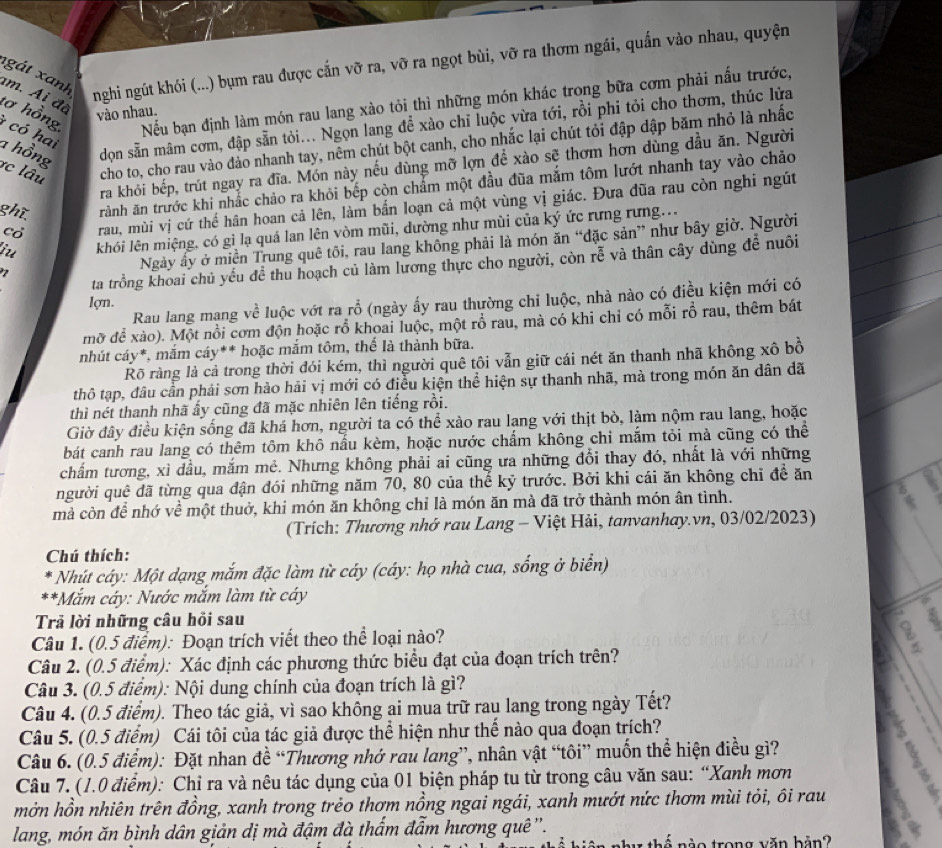 át  x anh nghi ngút khói (...) bm rau được cắn vỡ ra, vỡ ra ngọt bùi, vỡ ra thơm ngái, quấn vào nhau, quyện
tơ hồng Nếu bạn định làm món rau lang xào tỏi thì những món khác trong bữa cơm phải nấu trước,
am. Ai đã
vào nhau.
* có hai a hồng dọn sẵn mâm cơm, đập sẵn tỏi... Ngọn lang để xào chỉ luộc vừa tới, rồi phi tỏi cho thơm, thúc lửa
vc lâu cho to, cho rau vào đảo nhanh tay, nêm chút bột canh, cho nhắc lại chút tỏi đập dập băm nhỏ là nhấc
ra khỏi bếp, trút ngay ra đĩa. Món này nếu dùng mỡ lợn để xào sẽ thơm hơn dùng đầu ăn. Người
ghĩ rành ăn trước khi nhắc chảo ra khỏi bếp còn chẩm một đầu đũa mắm tôm lướt nhanh tay vào chảo
cò rau, mùi vị cứ thể hân hoan cả lên, làm bắn loạn cả một vùng vị giác. Đưa đũa rau còn nghi ngút
iu khói lên miệng, có gì lạ quá lan lên vòm mũi, dường như mùi của ký ức rưng rưng...
7 Ngày ấy ở miền Trung quê tôi, rau lang không phải là món ăn “đặc sản” như bây giờ. Người
ta trồng khoai chủ yếu đề thu hoạch củ làm lương thực cho người, còn rhat e và thân cây dùng để nuôi
Rau lang mạng về luộc vớt ra rỗ (ngày ấy rau thường chi luộc, nhà nào có điều kiện mới có
lợn.
mỡ để xào). Một nổi cơm độn hoặc rổ khoai luộc, một rỗ rau, mà có khi chỉ có mỗi rồ rau, thêm bát
nhút cáy*, mắm cáy** hoặc mắm tôm, thể là thành bữa.
Rõ ràng là cả trong thời đói kém, thì người quê tôi vẫn giữ cái nét ăn thanh nhã không xô bồ
thô tạp, đâu cần phải sơn hào hải vị mới có điều kiện thể hiện sự thanh nhã, mà trong món ăn dân dã
thì nét thanh nhã ấy cũng đã mặc nhiên lên tiếng rồi.
Giờ đây điều kiện sống đã khá hơn, người ta có thể xào rau lang với thịt bò, làm nộm rau lang, hoặc
bát canh rau lang có thêm tôm khô nấu kèm, hoặc nước chẩm không chi mắm tỏi mà cũng có thể
chẩm tương, xì dầu, mắm mẻ. Nhưng không phải ai cũng ưa những đổi thay đó, nhất là với những
người quê đã từng qua đận đói những năm 70, 80 của thể kỷ trước. Bởi khi cái ăn không chỉ đề ăn
mà còn để nhớ về một thuở, khi món ăn không chỉ là món ăn mà đã trở thành món ân tình.
(Trích: Thương nhớ rau Lang - Việt Hải, tanvanhay.vn, 03/02/2023)
Chú thích:
* Nhút cáy: Một dạng mắm đặc làm từ cáy (cáy: họ nhà cua, sống ở biển)
**Mắm cáy: Nước mắm làm từ cáy
Trả lời những câu hồi sau
Câu 1. (0.5 điểm): Đoạn trích viết theo thể loại nào?
B
Câu 2. (0.5 điểm): Xác định các phương thức biểu đạt của đoạn trích trên?
Câu 3. (0.5 điểm): Nội dung chính của đoạn trích là gì?
Câu 4. (0.5 điểm). Theo tác giả, vì sao không ai mua trữ rau lang trong ngày Tết?
Câu 5. (0.5 điểm) Cái tôi của tác giả được thể hiện như thế nào qua đoạn trích?
a 
Câu 6. (0.5 điểm): Đặt nhan đề “Thương nhớ rau lang”, nhân vật “tôi” muốn thể hiện điều gì?
Câu 7. (1.0 điểm): Chỉ ra và nêu tác dụng của 01 biện pháp tu từ trong câu văn sau: “Xanh mơn
mởn hồn nhiên trên đồng, xanh trong trẻo thơm nồng ngai ngái, xanh mướt nức thơm mùi tỏi, ôi rau
lang, món ăn bình dân giản dị mà đậm đà thấm đẫm hương quê '.
vo  trong văn bản?
