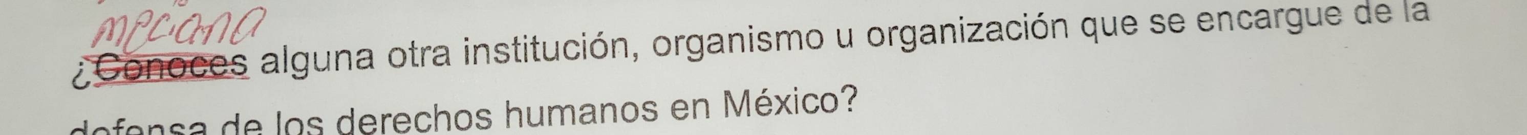 ¿Conoces alguna otra institución, organismo u organización que se encargue de la 
dofonca de los derechos humanos en México?