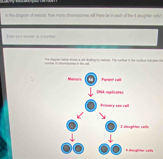 In this diagram of meiosis, how many chromosomes will there be in each of the 4 daughter cells?
Enter your answer as a number
The diagram below shows a cell dividing by meiosis. The number in the nucleus indicates the
number of chromosomes in the cell.
Meiosis 46 Parent cell
DNA replicates
Primary sex cell
2 daughter cells
4 daughter cells