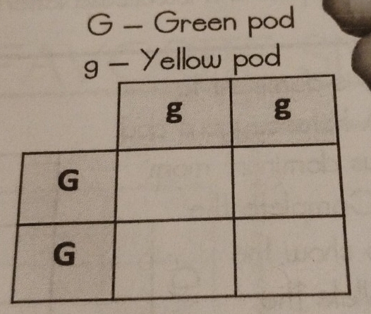 Green pod
9-y ellow pod