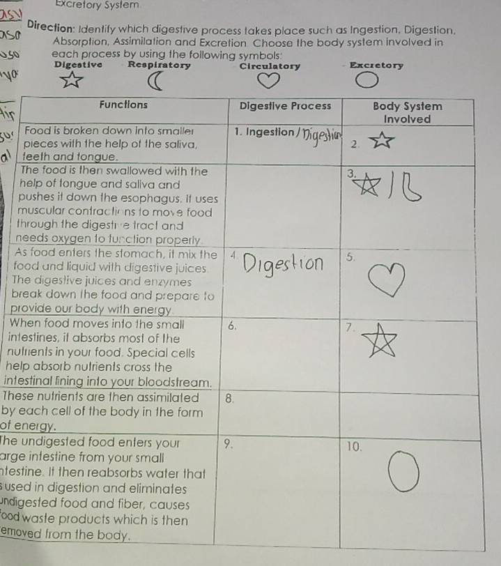 Excretory System 
Direction: Identify which digestive process takes place such as Ingestion. Digestion, 
Absorption, Assimilation and Excretion Choose the body system involved in 
each process by using the following symbols: Excretory 
Digestive Respiratory Circulatory 
p 
f 
T 
h 
p 
m 
th 
n 
As 
fo 
Th 
br 
pro 
Wh 
inte 
nut 
help 
inte 
Thes 
by e 
of en 
The u 
arge 
ntest 
sused 
undig 
food 
emov