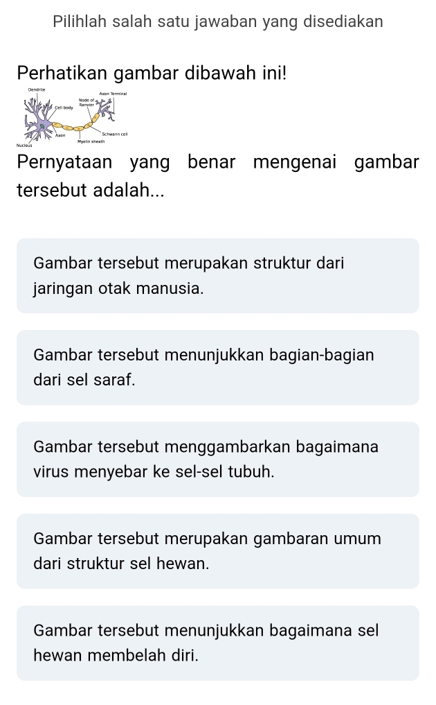 Pilihlah salah satu jawaban yang disediakan
Perhatikan gambar dibawah ini!
Pernyataan yang benar mengenai gambar
tersebut adalah...
Gambar tersebut merupakan struktur dari
jaringan otak manusia.
Gambar tersebut menunjukkan bagian-bagian
dari sel saraf.
Gambar tersebut menggambarkan bagaimana
virus menyebar ke sel-sel tubuh.
Gambar tersebut merupakan gambaran umum
dari struktur sel hewan.
Gambar tersebut menunjukkan bagaimana sel
hewan membelah diri.