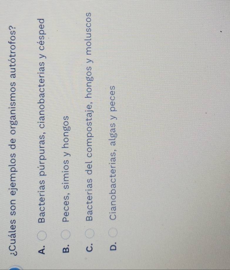 ¿Cuáles son ejemplos de organismos autótrofos?
A. Bacterias púrpuras, cianobacterias y césped
B. Peces, simios y hongos
C. Bacterias del compostaje, hongos y moluscos
D. Cianobacterias, algas y peces