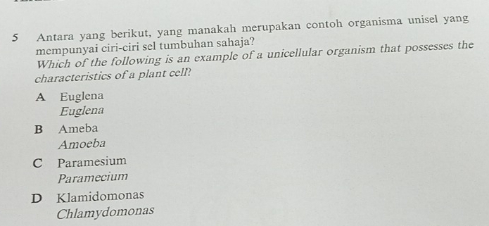 Antara yang berikut, yang manakah merupakan contoh organisma unisel yang
mempunyai ciri-ciri sel tumbuhan sahaja?
Which of the following is an example of a unicellular organism that possesses the
characteristics of a plant cell?
A Euglena
Euglena
B Ameba
Amoeba
C Paramesium
Paramecium
D Klamidomonas
Chlamydomonas