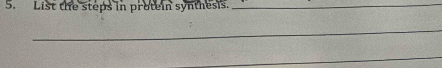 List the steps in protein synthesis._ 
_ 
_