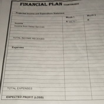 FINANCIAL PLAN (contnue')