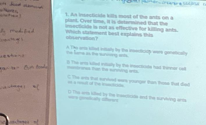 Ar Halmer Orcaere Scaoss''t
1. An insecticide kills most of the ants on a
plant. Over time, it is determined that the
insecticide is not as effective for killing ants.
Which statement best explains this
observation?
A The ants killed intially by the insecticide were genetically
the Same as the survving ents.
B The ents killed initially by the insecticide had thinner cell
membranes than the surviving ants.
C The ants that survived were younger than those that died
as a result of the insecticide.
D The ants killed by the insecticide and the surviving ants
were genstically different