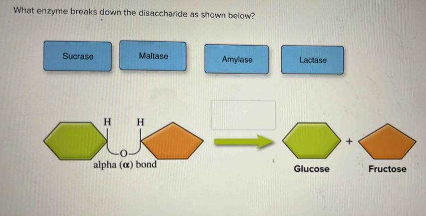 Solved: What enzyme breaks down the disaccharide as shown below ...