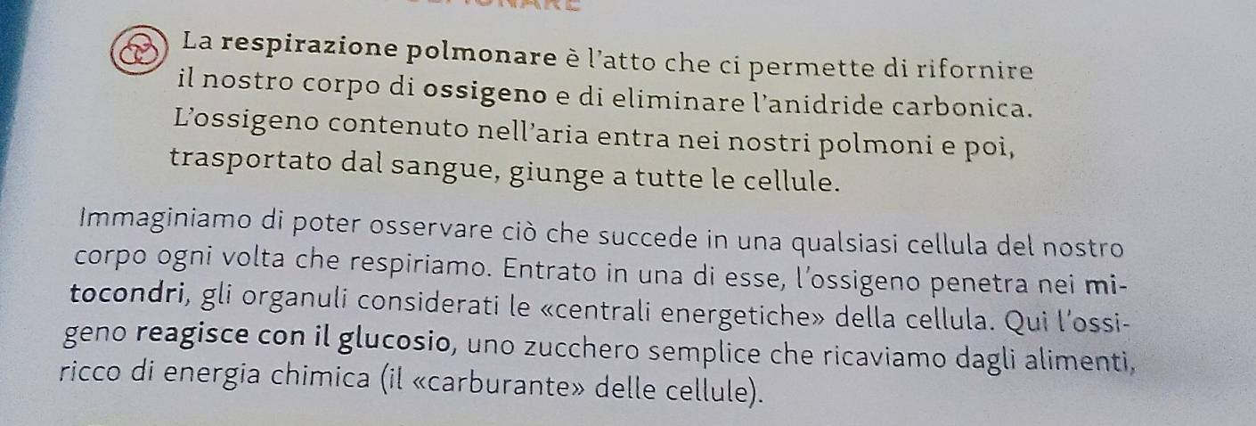 La respirazione polmonare è l'atto che ci permette di rifornire 
il nostro corpo di ossigeno e di eliminare l’anidride carbonica. 
L’ossigeno contenuto nell’aria entra nei nostri polmoni e poi, 
trasportato dal sangue, giunge a tutte le cellule. 
Immaginiamo di poter osservare ciò che succede in una qualsiasi cellula del nostro 
corpo ogni volta che respiriamo. Entrato in una di esse, l’ossigeno penetra nei mi- 
tocondri, gli organuli considerati le «centrali energetiche» della cellula. Qui l’ossi- 
geno reagisce con il glucosio, uno zucchero semplice che ricaviamo dagli alimenti, 
ricco di energia chimica (il «carburante» delle cellule).