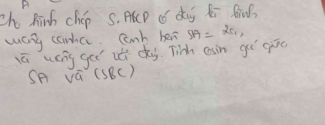 Ch Rinh chep S. AP C dg Ri fiah 
way canha. Conh ben SA=2c_1, 
iú wáng gei it day. Tinh casin goí giōo 
SA vá 10 2c)