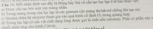 Mỗi nhận định sau đây là Đúng hay Sai về cầu tạo lục lạp ở tế bảo thực vật?
a) Được cấu tạo bởi một lớp màng nhẫn.
b) Trong màng trong của lục lạp là các granum (do màng thylakoid chồng lên tạo ra).
c) Stroma chứa hệ enzyme tham gia vào quá trình cố định O_2 trong quang hợp.
d) Trong lục lạp có các vật chất dạng lỏng được gọi là chất nền (stroma). Phải có phần này r
chuỗi phản ứng chu trình Calvin.