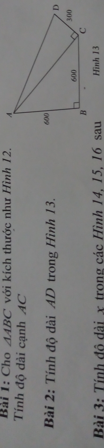Cho △ ABC với kích thước như Hình 12. 
Tính độ dài cạnh AC 
Bài 2: Tính độ dài AD trong Hình 13. 
Bài 3: Tính đô dài x trong các Hình 14, 15, 16 sau Hình 13