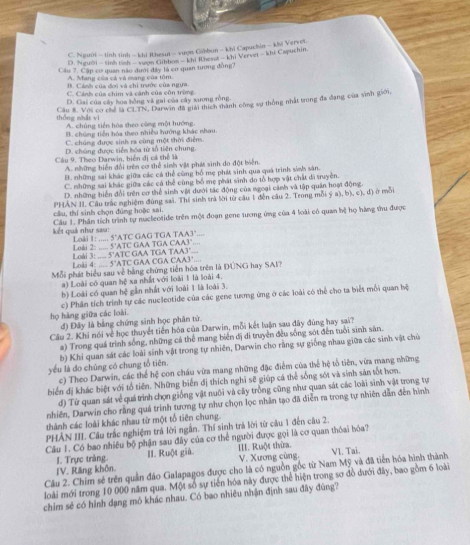 C. Người - tỉnh tinh - khi Rhesut - vượn Gibbon - khi Capuchin - khi Vervet.
D. Người - tinh tinh - vượn Gibbon - khi Rhesut - khi Vervet - khi Capuchin.
Câu 7. Cập cơ quan nào dưới đây là cơ quan tương đồng?
A. Mang của cá và mang của tôm.
B. Cánh của dơi và chỉ trước của ngựa.
C. Cánh của chim và cánh của côn trùng.
D. Gai của cây hoa hồng và gai của cây xương rồng.
Cầu 8. Với cơ chế là CLTN, Darwin đã giải thích thành công sự thống nhất trong đa dạng của sinh giới,
thống nhất vì
A. chúng tiến hóa theo cùng một hướng.
B. chúng tiến hóa theo nhiều hướng khác nhau.
C. chúng được sinh ra cùng một thời điểm.
D. chúng được tiến hóa từ tổ tiên chung.
Câu 9. Theo Darwin, biển dị cá thể là
A. những biến đổi trên cơ thể sinh vật phát sinh do đột biến.
B. những sai khác giữa các cá thể cùng bố mẹ phát sinh qua quá trình sinh sản.
C. những sai khác giữa các cá thể cùng bố mẹ phát sinh do tổ hợp vật chất di truyền.
D. những biển đổi trên cơ thể sinh vật dưới tác động của ngoại cảnh và tập quán hoạt động.
PHẢN II. Cầu trắc nghiệm đúng sai. Thí sinh trả lời từ câu 1 đến câu 2. Trong mỗi ý a), b), c), d) ở mỗi
câu, thí sinh chọn đúng hoặc sai.
Câu 1. Phân tích trình tự nucleotide trên một đoạn gene tương ứng của 4 loài có quan hệ họ hàng thu được
kết quả như sau:
Loài 1: ..... 5'ATC GAG TGA TAA3'....
Loài 2: ..... 5'ATC GAA TGA CAA3`....
Loài 3: ..... 5'ATC GAA TGA TAA3'....
Loài 4: ..... 5’ATC GAA CGA CAA3' ...
Mỗi phát biểu sau về bằng chứng tiến hóa trên là ĐÚNG hay SAI?
a) Loài có quan hệ xa nhất với loài 1 là loài 4.
b) Loài có quan hệ gần nhất với loài 1 là loài 3.
c) Phân tích trình tự các nucleotide của các gene tương ứng ở các loài có thể cho ta biết mối quan hệ
họ hàng giữa các loài.
d) Đây là bằng chứng sinh học phân tử.
Cầu 2. Khi nói về học thuyết tiến hóa của Darwin, mỗi kết luận sau đây đúng hay sai?
a) Trong quá trình sống, những cá thể mang biến dị di truyền đều sống sót đến tuổi sinh sản.
b) Khi quan sát các loài sinh vật trong tự nhiên, Darwin cho rằng sự giống nhau giữa các sinh vật chủ
yếu là do chúng có chung tổ tiên.
c) Theo Darwin, các thế hệ con cháu vừa mang những đặc điểm của thế hệ tổ tiên, vừa mang những
biến đị khác biệt với tổ tiên. Những biến dị thích nghi sẽ giúp cá thể sống sót và sinh sản tốt hơn.
d) Từ quan sát về quá trình chọn giống vật nuôi và cây trồng cũng như quan sát các loài sinh vật trong tự
nhiên, Darwin cho rằng quá trình tương tự như chọn lọc nhân tạo đã diễn ra trong tự nhiên dẫn đến hình
thành các loài khác nhau từ một tổ tiên chung.
PHẢN III. Câu trắc nghiệm trả lời ngắn. Thí sinh trả lời từ câu 1 đến câu 2.
Câu 1. Có bao nhiêu bộ phận sau đây của cơ thể người được gọi là cơ quan thóai hóa?
L. Trực tràng. II. Ruột già. III. Ruột thừa.
IV. Răng khôn, V. Xương cùng. VI. Tai.
Câu 2. Chim sẻ trên quần đảo Galapagos được cho là có nguồn gốc từ Nam Mỹ và đã tiến hóa hình thành
loài mới trong 10 000 năm qua. Một số sự tiến hóa này được thể hiện trong sơ đồ dưới đây, bao gồm 6 loài
chim sẻ có hình dạng mỏ khác nhau. Có bao nhiêu nhận định sau đây đúng?