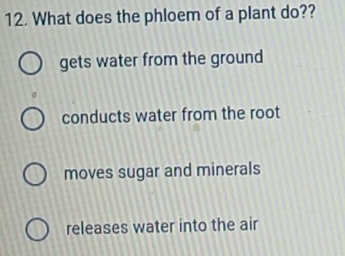 What does the phloem of a plant do??
gets water from the ground
conducts water from the root
moves sugar and minerals
releases water into the air