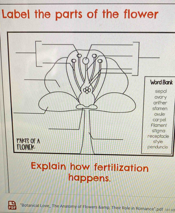 Label the parts of the flower 
Word Bank 
e 
Explain how fertilization 
happens. 
PDF “Botanical Love_ The Anatomy of Flowers & Their Role in Romance”.pdf 181 к8