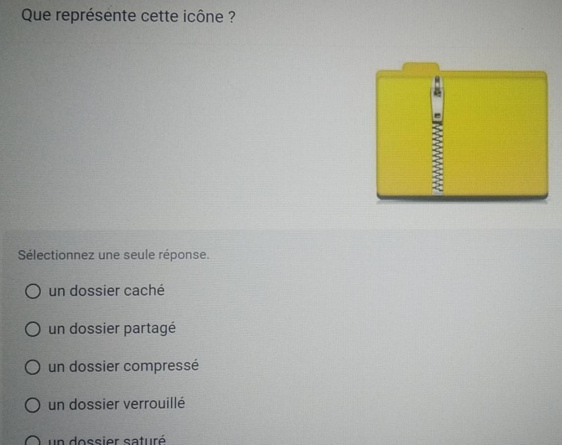 Que représente cette icône ?
:
Sélectionnez une seule réponse.
un dossier caché
un dossier partagé
un dossier compressé
un dossier verrouillé
un dossier saturé