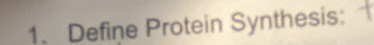 Define Protein Synthesis: