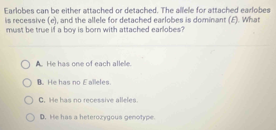 Earlobes can be either attached or detached. The allele for attached earlobes
is recessive (e), and the allele for detached earlobes is dominant (E). What
must be true if a boy is born with attached earlobes?
A. He has one of each allele.
B. He has no Ealleles.
C. He has no recessive alleles.
D. He has a heterozygous genotype.