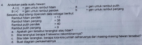 Andaikan pada suatu hewan:
A(+)= gen untuk rambut hitam a = gen untuk rambut putih
B(+)= gen untuk rambut pendek b = gen untuk rambut panjang 
Sewaktu diuji silang diperoleh data sebagai berikut 
Rambut hitam pendek =13
Rambut hitam panjang =38
Rambut putih pendek =40
Rambut putih panjang =9
a. Apakah gen tersebut terangkai atau tidak? 
b. Bila terangkai berapa Frekwensi rekombinannya? 
c. Bila tidak terangkai, berapa kira-kira jumlah seharusnya dari masing-masing hewan tersebut? 
d. Buat diagram perkawinannya