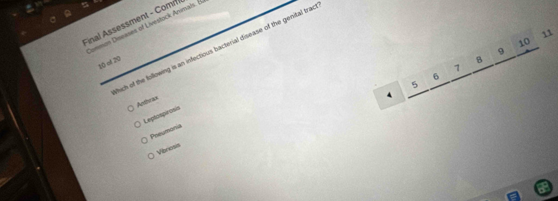 Final Assessment - Comn
Common Diseases of Livestock Animals: E
11
10
hich of the following is an infectious bacterial disease of the genital trac
10 of 20
a
6
5
Anthrax
1
Leptospirosis
Pneumonia
Vibriosis