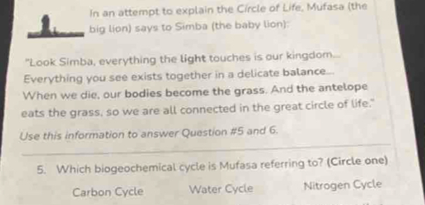 In an attempt to explain the Circle of Life, Mufasa (the
big lion) says to Simba (the baby lion):
"Look Simba, everything the light touches is our kingdom
Everything you see exists together in a delicate balance
When we die, our bodies become the grass. And the antelope
eats the grass, so we are all connected in the great circle of life."
_
Use this information to answer Question #5 and 6.
5. Which biogeochemical cycle is Mufasa referring to? (Circle one)
Carbon Cycle Water Cycle Nitrogen Cycle