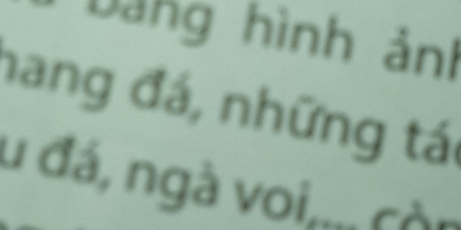 Dàng hình ảnh 
hang đá, những tái 
u đá, ngà voi.... cò