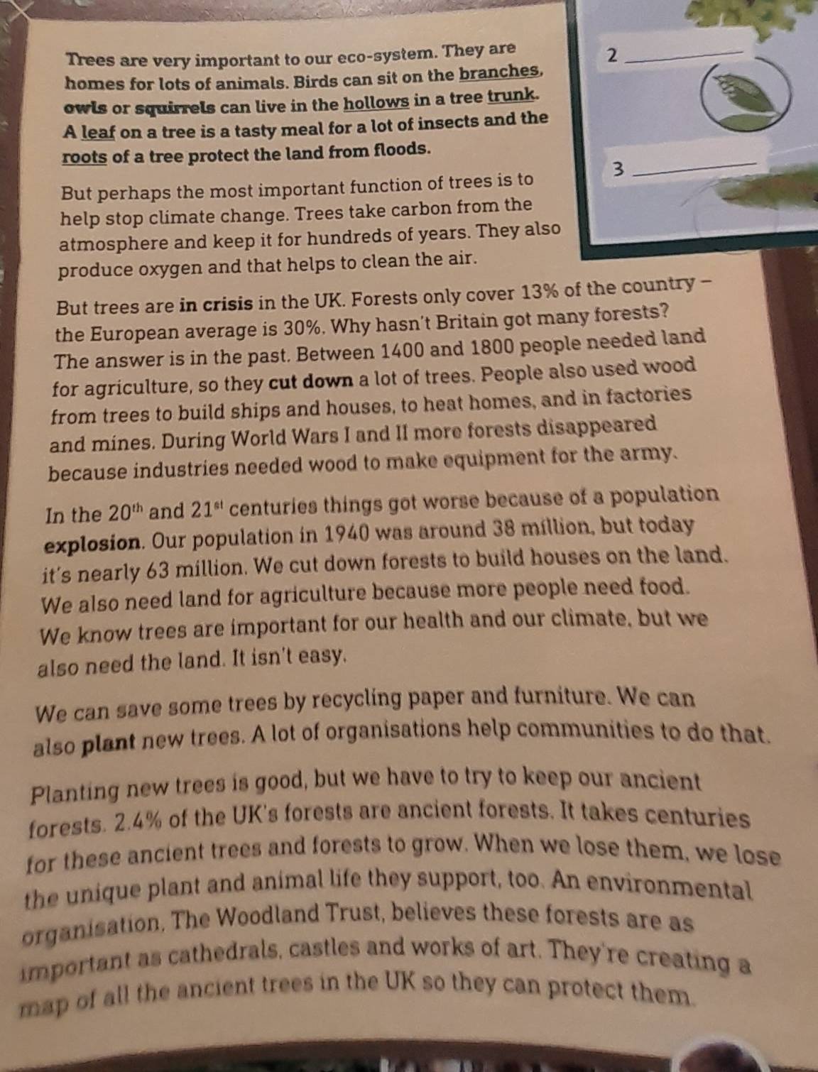 Trees are very important to our eco-system. They are 
homes for lots of animals. Birds can sit on the branches, 
owls or squirrels can live in the hollows in a tree trunk. 
A leaf on a tree is a tasty meal for a lot of insects and the 
roots of a tree protect the land from floods. 
But perhaps the most important function of trees is to 
help stop climate change. Trees take carbon from the 
atmosphere and keep it for hundreds of years. They also 
produce oxygen and that helps to clean the air. 
But trees are in crisis in the UK. Forests only cover 13% of the country - 
the European average is 30%. Why hasn't Britain got many forests? 
The answer is in the past. Between 1400 and 1800 people needed land 
for agriculture, so they cut down a lot of trees. People also used wood 
from trees to build ships and houses, to heat homes, and in factories 
and mines. During World Wars I and II more forests disappeared 
because industries needed wood to make equipment for the army. 
In the 20^(th) and 21^(st) centuries things got worse because of a population 
explosion. Our population in 1940 was around 38 million, but today 
it's nearly 63 million. We cut down forests to build houses on the land. 
We also need land for agriculture because more people need food. 
We know trees are important for our health and our climate, but we 
also need the land. It isn't easy. 
We can save some trees by recycling paper and furniture. We can 
also plant new trees. A lot of organisations help communities to do that. 
Planting new trees is good, but we have to try to keep our ancient 
forests. 2.4% of the UK's forests are ancient forests. It takes centuries 
for these ancient trees and forests to grow. When we lose them, we lose 
the unique plant and animal life they support, too. An environmental 
organisation. The Woodland Trust, believes these forests are as 
important as cathedrals, castles and works of art. They're creating a 
map of all the ancient trees in the UK so they can protect them.