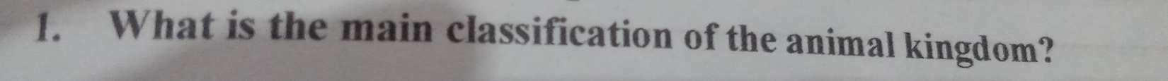 What is the main classification of the animal kingdom?