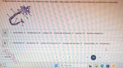 A figura ilustra uma célula típica do tecido nervoso. Assinale a alternativa que identífica corretamente as estruturas numeradas.
A - pericárdio; II - telodendro; III- axônio; IV - célula de Schwann; V - axônio; VI -botões sinápticos.
B I = Neurónio; II = dendritos; III - célula de Schwann; IV - nódulo de Ranvier; V - internódulo; VI - telodendro.
Arterióa
1 2 3 23 24 25
C Pesquisas