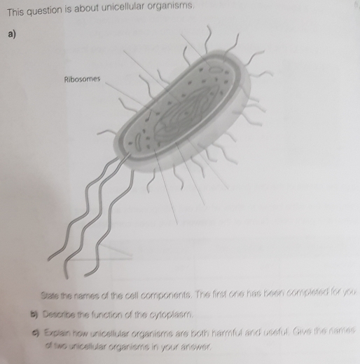 This question is about unicellular organisms. 
a) 
State the names of the cell components. The first one has been completed for you 
Describe the function of the cytoplasm. 
# Explain how unicellular organisms are both harmful and useful. Give the names 
of two unicellular organisms in your answer.