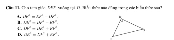 Cho tam giác DEF vuông tại D. Biểu thức nào đúng trong các biểu thức sau?
A. DE^2=EF^2-DF^2.
B. DE^2=DF^2-EF^2.
C. DF^2=DE^2+EF^2.
D. DE^2=DF^2+EF^2.