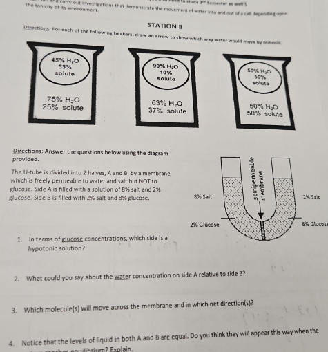 P^(-1) Semexter as well!]
the tonicity of its environment Ao carry out investigations that demonstrate the movement of water into and out of a cell degending upon
STATION 8
Dizections: For each of the following beakers, draw an arrow to show which way water would move by cnmosis.
50% H₂O
50%
solute
50% H_2O
50% solute
Directions: Answer the questions below using the diagram
provided.
The U-tube is divided into 2 halves, A and B, by a membrane
which is freely permeable to water and salt but NOT to
glucose. Side A is filled with a solution of 8% salt and 2%
glucose. Side B is filled with 2% salt and 8% glucose 
8% Glucos
1. In terms of glucose concentrations, which side is a
hypotonic solution?
2. What could you say about the water concentration on side A relative to side B?
3. Which molecule(s) will move across the membrane and in which net direction(s)?
4. Notice that the levels of liquid in both A and B are equal. Do you think they will appear this way when the