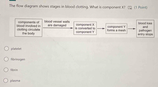 The flow diagram shows stages in blood clotting. What is component X? (1 Point)
components of blood vessel walls
blood involved in are damaged is converted to component X component Y blood loss and
clotting circulate component Y forms a mesh pathogen
the body entry stops
platelet
fibrinogen
fibrin
plasma