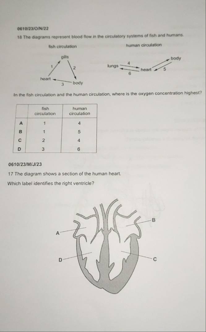 0610/23/O/N/22
18 The diagrams represent blood flow in the circulatory systems of fish and humans.
fish circulation human circulation
body
lungs 4
heart 5
6
In the fish circulation and the human circulation, where is the oxygen concentration highest?
0610/23/M/J/23
17 The diagram shows a section of the human heart.
Which label identifies the right ventricle?