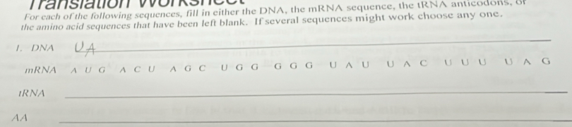 Tansiation Wonksnco 
For each of the following sequences, fill in either the DNA, the mRNA sequence, the tRNA anticodons, of 
the amino acid sequences that have been left blank. If several sequences might work choose any one. 
I. DNA 
_ 
mRNA A U G A C U A G C U G G— G G G U A U U A C U ∪ U U A G 
tRNA 
_ 
AA 
_