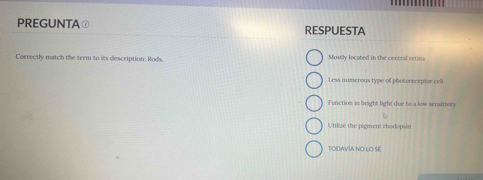 PREGUNTA ① RESPUESTA
Correctly match the term to its description: Rods. Mostly located in the central retina
Less numerous type of photoreceptor cell
Function in bright light due to a low sensitivity
Utilizè the pigment rhodopsin
TODAVÍA NO LO SÉ